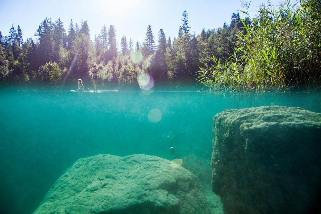 Edelweiss Bella Vista room 4